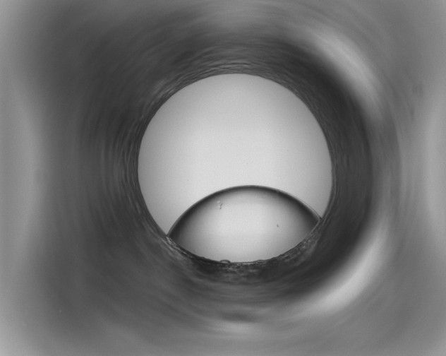 X0000115790190200911131034