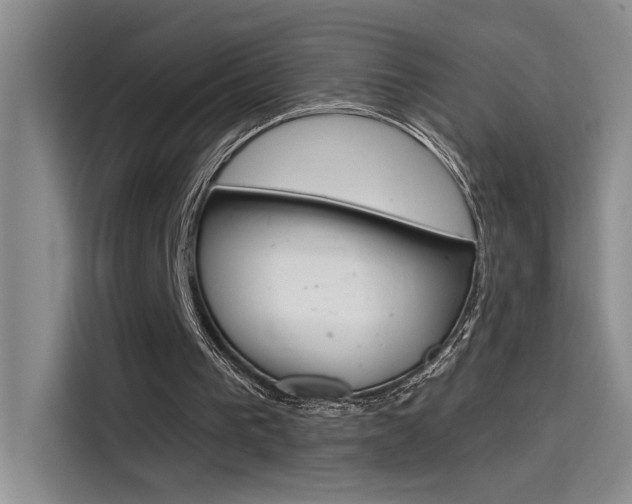 X0000115790193200911131033