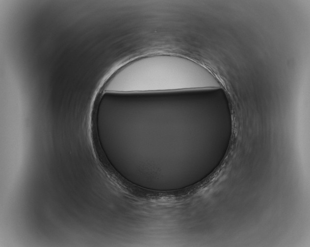 X0000115790196200911131033