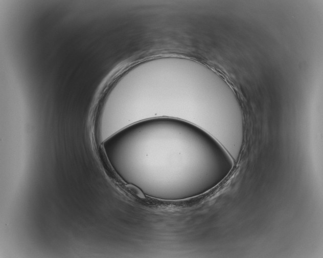 X0000115790197200911131033