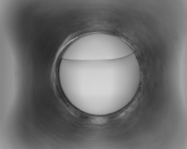X0000115790198200911131033