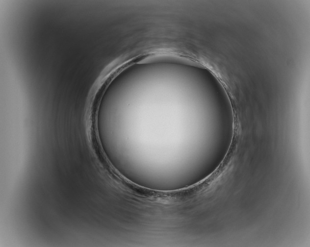 X0000115790199200911131033