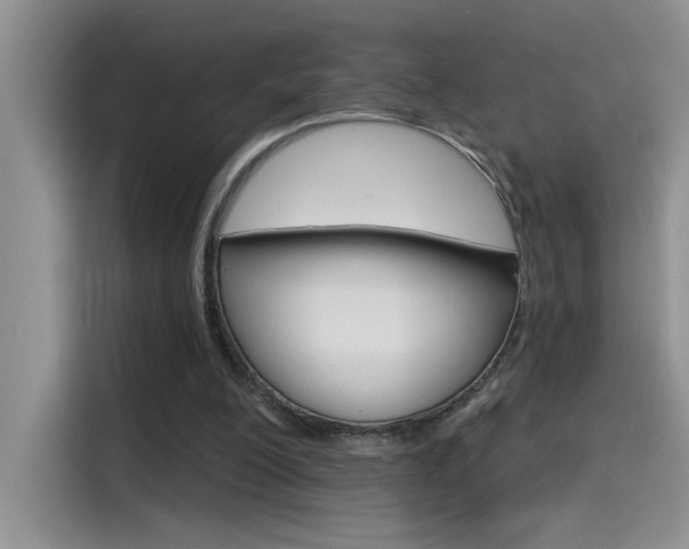 X0000115790200200911131033