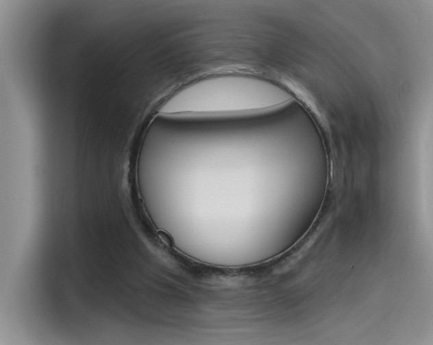 X0000115790201200911131033