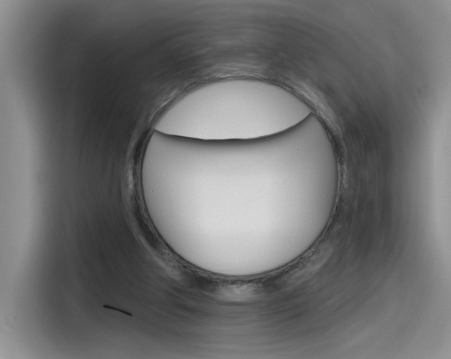 X0000115790202200911131033