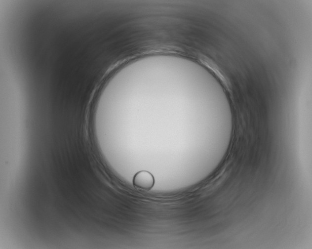 X0000115790203200911131033