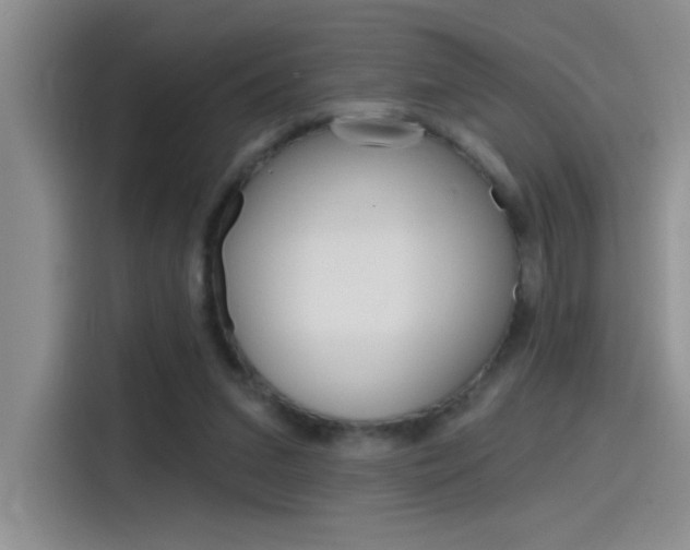 X0000115790207200911131033