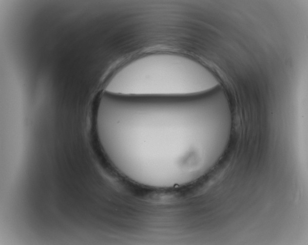 X0000115790208200911131033