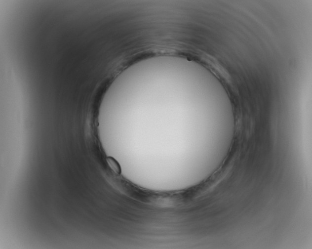 X0000115790209200911131033