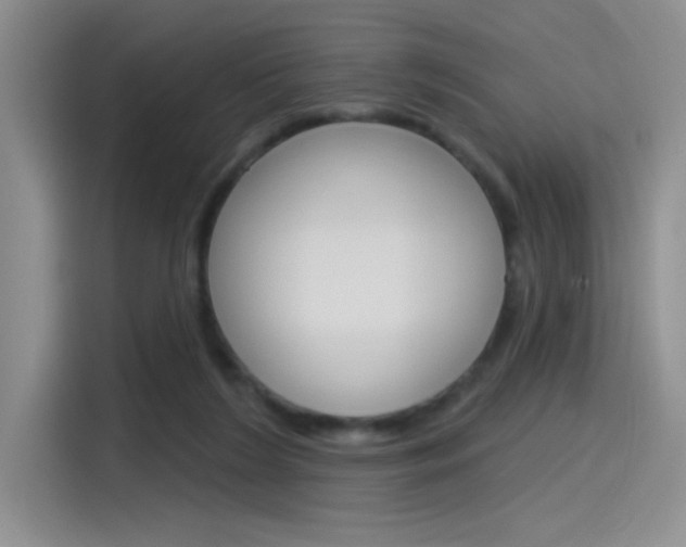 X0000115790212200911131033