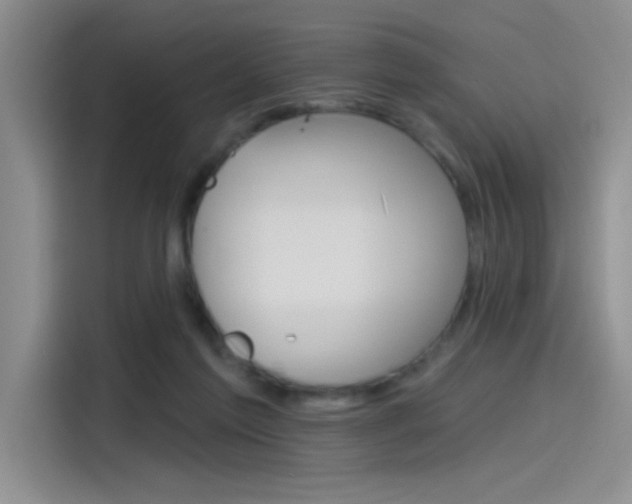 X0000115790213200911131033