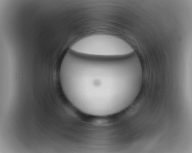 X0000115790220200911131033