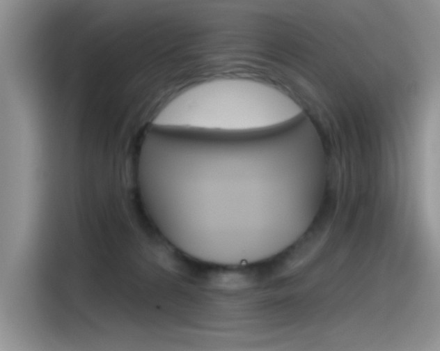 X0000115790224200911131033