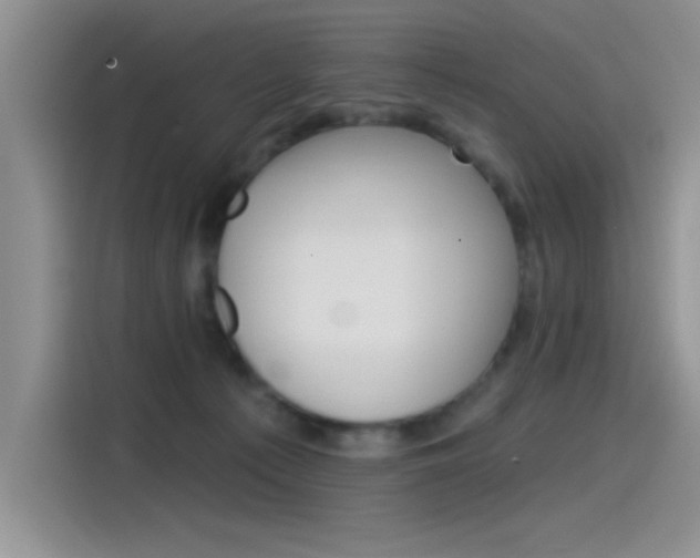 X0000115790225200911131033