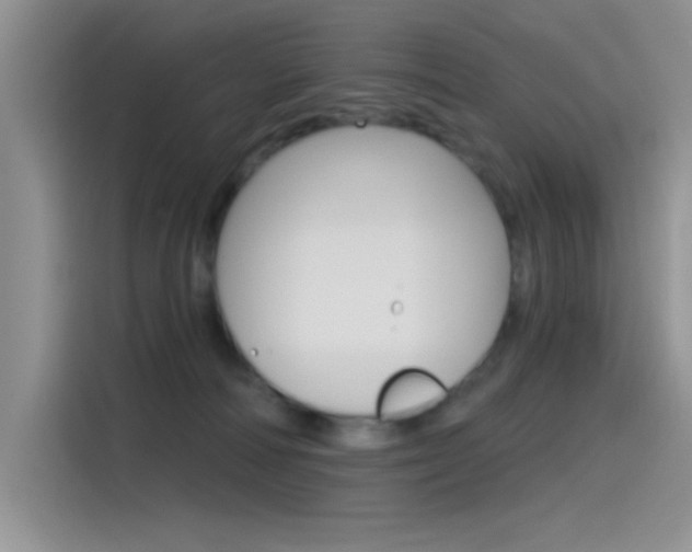 X0000115790226200911131033