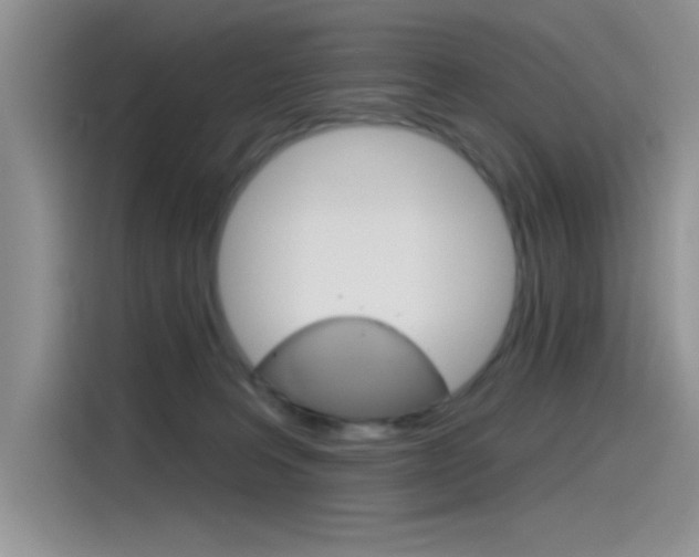 X0000115790227200911131033