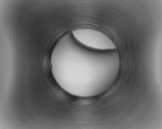 X0000115790228200911131033