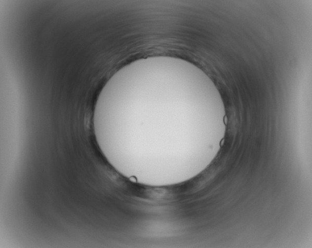 X0000115790230200911131033