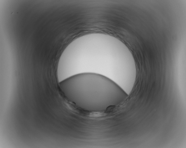 X0000115790231200911131033