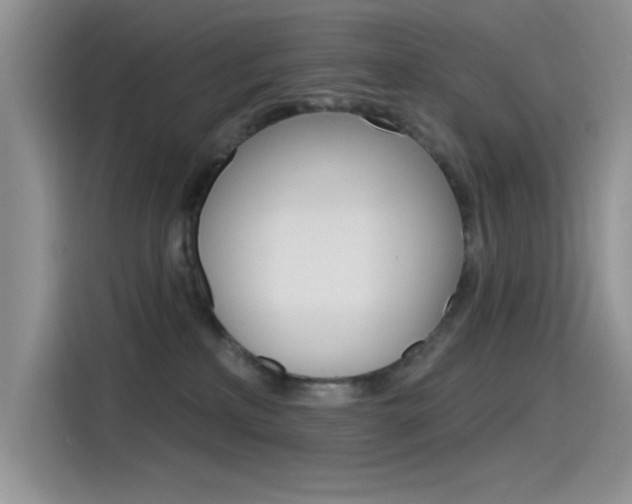 X0000115790233200911131033