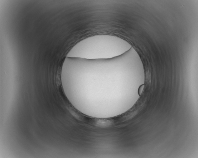 X0000115790234200911131033