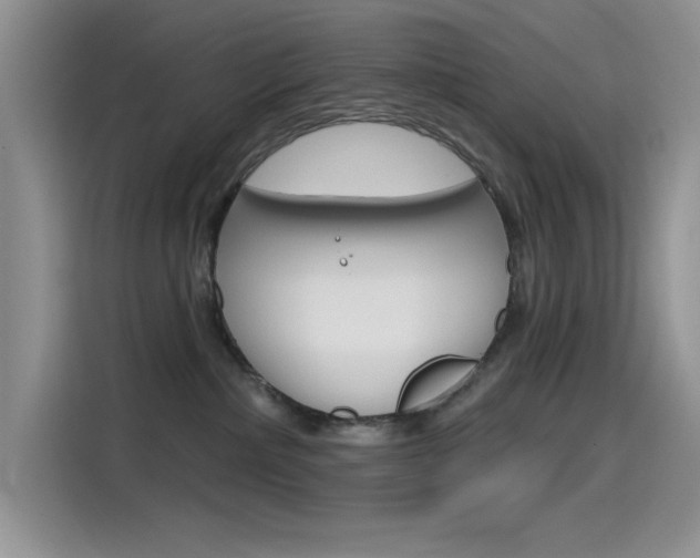 X0000115790236200911131033