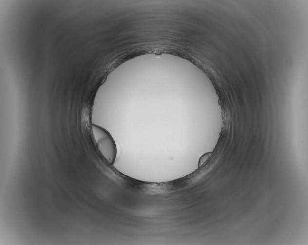 X0000115790238200911131032