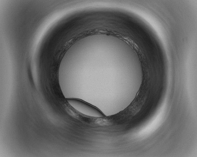 X0000115790239200911131032