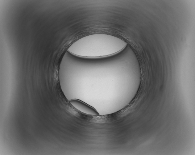 X0000115790240200911131032