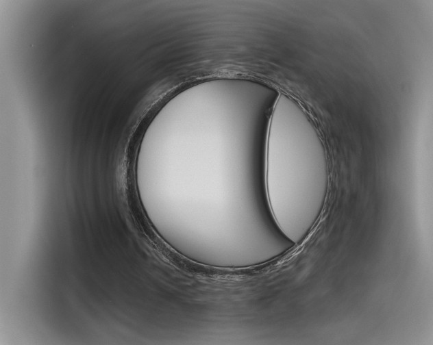 X0000115790242200911131032