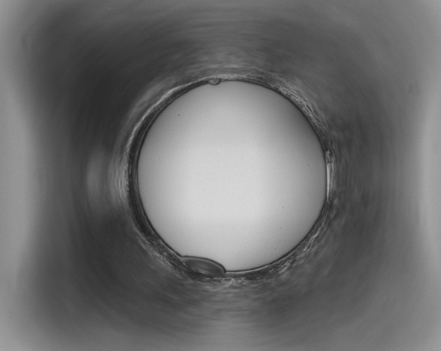 X0000115790243200911131032