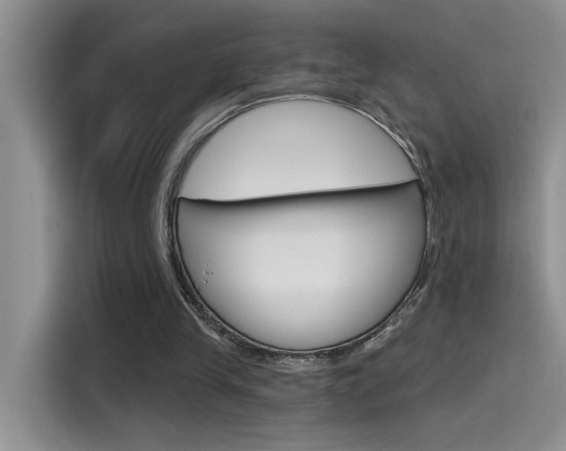 X0000115790245200911131032