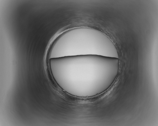 X0000115790246200911131032