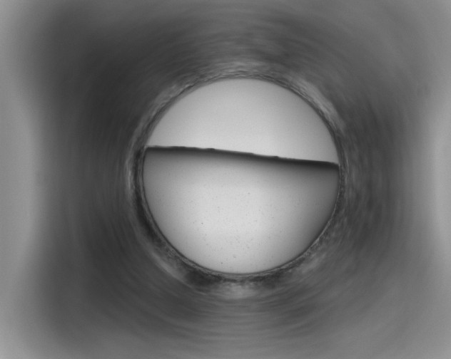X0000115790250200911131032