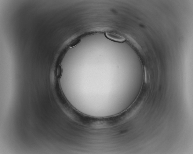 X0000115790252200911131032