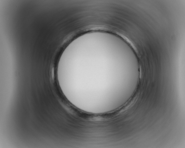 X0000115790253200911131032