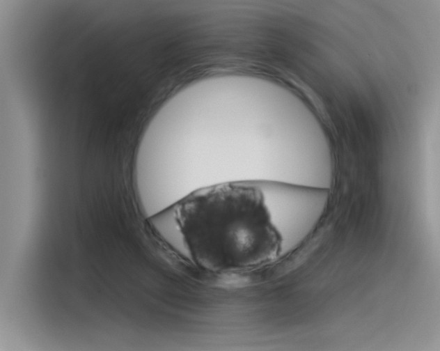 X0000115790257200911131032
