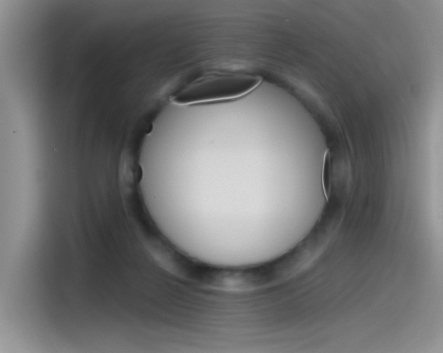 X0000115790264200911131032