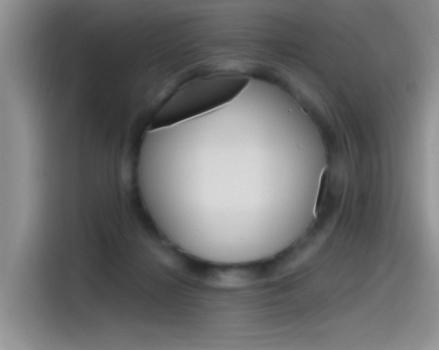 X0000115790268200911131032