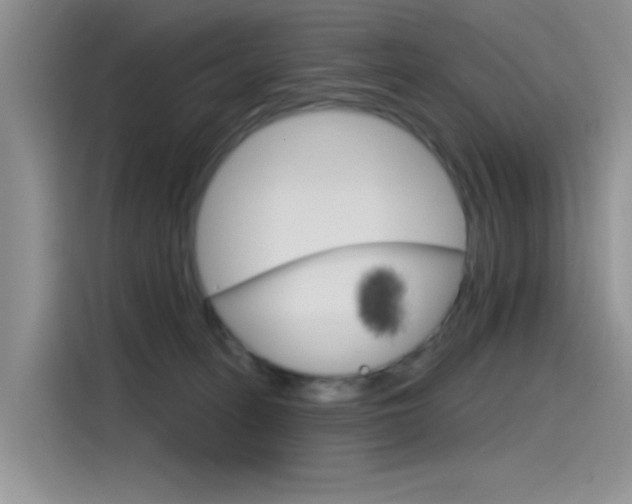 X0000115790275200911131032