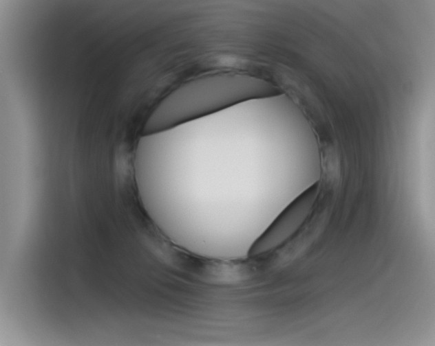 X0000115790276200911131032