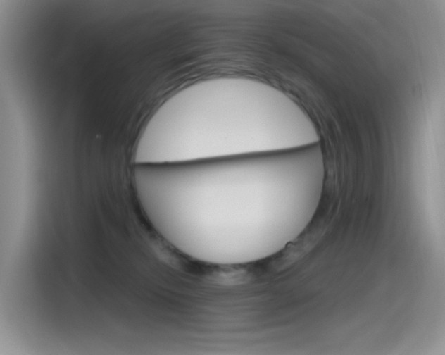 X0000115790278200911131032