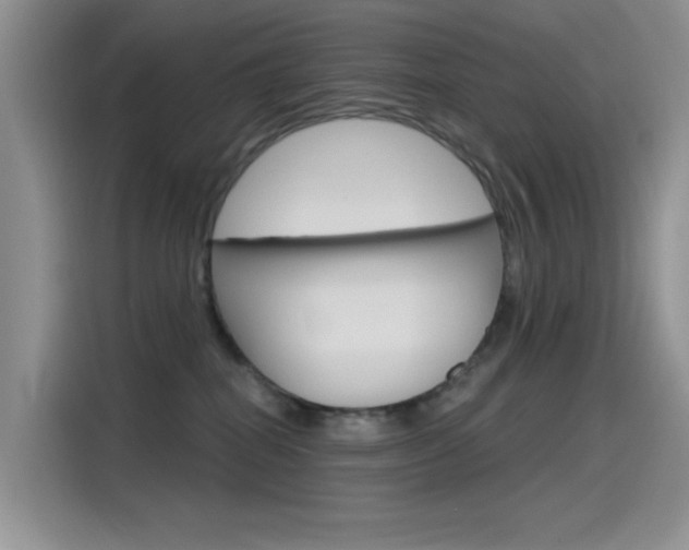 X0000115790282200911131032