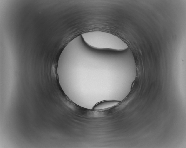 X0000115790286200911131032