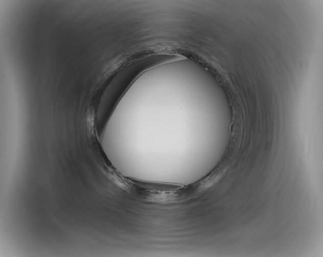 X0000115790288200911131032