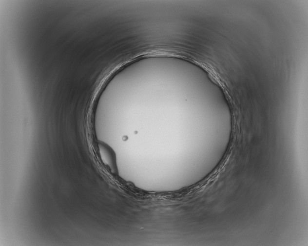 X0000115790289200911131032