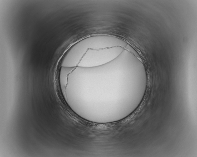 X0000115790290200911131032