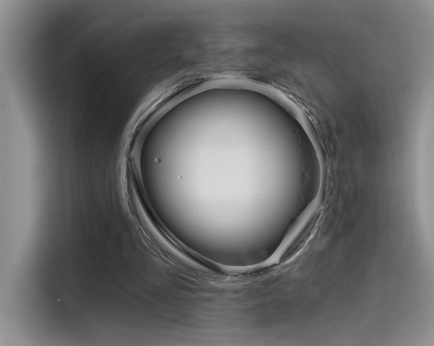 X0000115790293200911131032