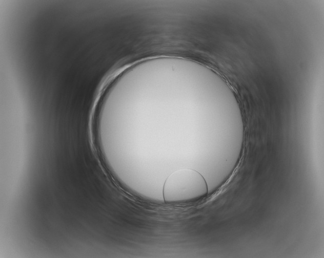 X0000115790294200911131032