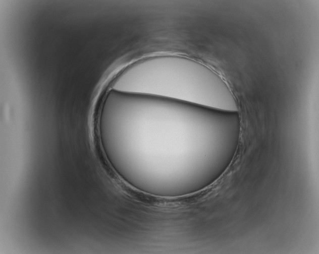 X0000115790296200911131032